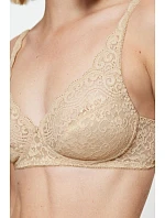 Soft model 229878 Triumph Soft model 229878 Triumph
