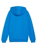 Puma teamGoal Casuals Mikina s kapucí Jr 658596 02 Puma teamGoal Casuals Mikina s kapucí Jr 658596 02