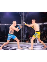 MMAsparringové rukavice S/M - Undefeated - Valor Series MMAsparringové rukavice S/M - Undefeated - Valor Series