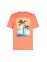 O'Neill Jack Neon T-Shirt M 92800613602 O'Neill Jack Neon T-Shirt M 92800613602