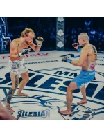 Rukavice MMAM - Harmony - Valor Series