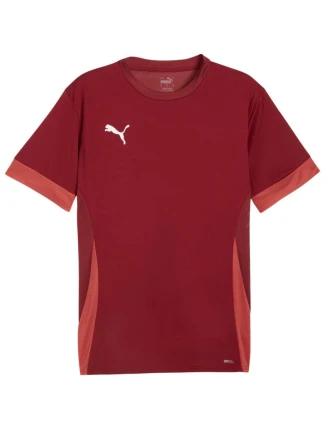Pánský dres Puma teamGoal Matchday Jersey bordó 705747 09 pánské