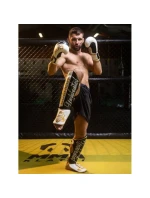 Chrániče holenní kosti M - Undefeated