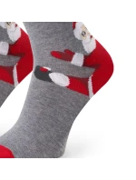 Pánské ponožky 136 171 - Steven