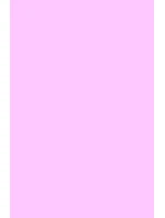 Veneziana Saténové punčocháče 40 den 2-4