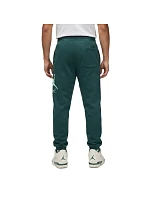 Pánské tepláky Air Jordan Essentials Baseline - FD7345-366