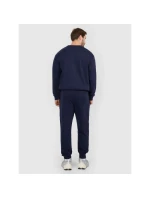 Pánské tepláky typu jogger 4F 4FRMM00TTROM1624-31S