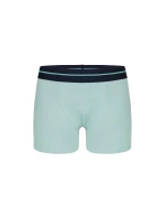 Donella Chlapecké boxerky 8071PD4 Donella Chlapecké boxerky 8071PD4