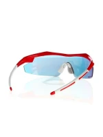 Sluneční brýle Goggle E690-3 Sluneční brýle Goggle E690-3