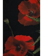 Šála Art Of Polo 25107 Lorie