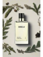 Pánské parfém 751 s dřevitou vůní s cedrem a bergamotkou 50 ml