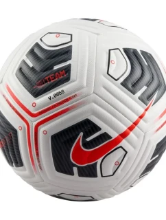 Míč Nike Academy Plus FZ2979-100