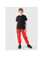 Chlapecké tričko s potiskem 4F Junior 4FJWMM00TTSHM1627-20S