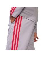 Kalhoty adidas Squadra 25 Training Jr JP3369