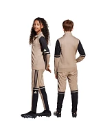 Kalhoty adidas Squadra 25 Training Jr JP3371
