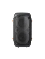 ESPERANZA REPRODUKTOR BT FM VEDL RGB KARAOKE ZPĚVÁK EP156