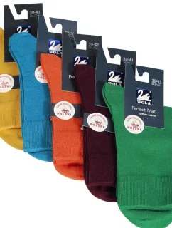 Hladké pánské ponožky PERFECT MAN - CASUAL