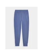 Dámské rychleschnoucí tréninkové kalhoty 4F 4FWAW24TFTRF689-31S dámské