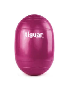 Gymnastický míč TI-V001S - Tiguar