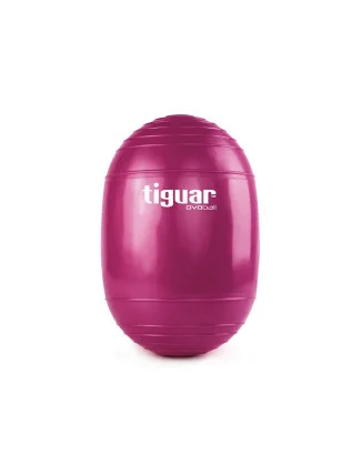 Gymnastický míč TI-V001S - Tiguar