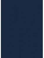 Pánské slipy Gatta Cotton Slip 41547