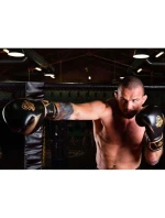 Boxerské rukavice 10oz - Aureos - Valor Series