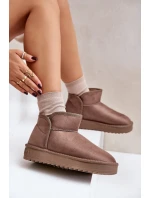 Dámské Sněhule Na Platformě D.Franklin DFSH370010 Taupe