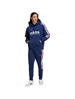 Adidas House of Tiro Nations Pack Hoodie M IY4530 pánské