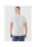 Pánské tričko (sada 3 triček) 4F 3P-SS-4FWMM00TTSHM2256-91S 3PAK