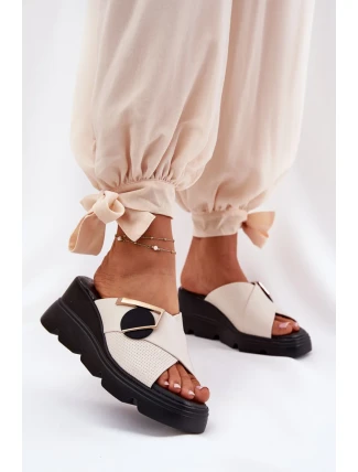 Pantofle  model 212347 Step in style