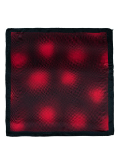 Šála Art Of Polo Sz20973-2 Black/Dark Red