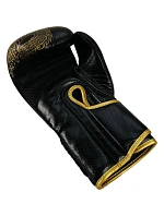 Boxerské rukavice RBT-DRAGON 12 oz Boxerské rukavice RBT-DRAGON 12 oz