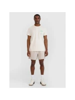 Pánské tričko s potiskem 4F 4FRSS25TTSHM2688-11S