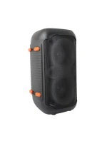 ESPERANZA REPRODUKTOR BT FM VEDL RGB KARAOKE ZPĚVÁK EP156