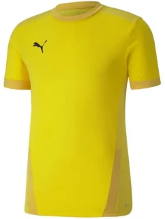 Puma teamGOAL 23 Jersey M 704171 07 pánské dresy