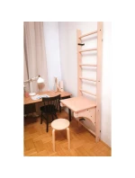 DŘEVĚNÝ ŽEBŘÍK PRO BENCHK BT204 PULL-UP BAR