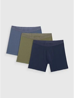 Pánské boxerky (3 balení) 4F 4FRMM00UBXSM077-90S