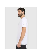 Pánské tričko s potiskem 4F 4FRAW25TTSHM3384-10S