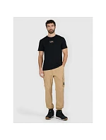 Pánské tričko s potiskem 4F 4FRAW25TTSHM3377-20S pánské