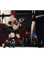 Boxerské rukavice 10oz - Classic White - Origin Series Boxerské rukavice 10oz - Classic White - Origin Series