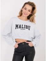 WT BL mikina A1277 1.47 světle šedá WT BL mikina A1277 1.47 světle šedá