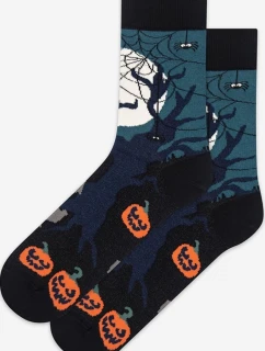 NEFORMÁLNÍ - VZOROVANÉ PONOŽKY, PÁNSKÉ