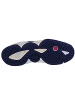 Boty Mizuno Wave Momentum 3 M V1GA231243