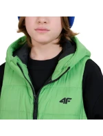 Vesta 4F M169 Jr 4FJWSS25TVJAM169 45S