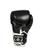 Boxerské rukavice 10oz - Blaze White - Legacy Series Boxerské rukavice 10oz - Blaze White - Legacy Series