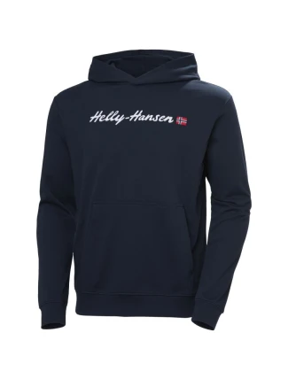 Helly Hansen Core Graphic Sweat Hoodie M 53924 596