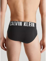 Pánské spodní prádlo HIP BRIEF 3PK 000NB3607AUB1 - Calvin Klein