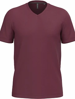 Kariban K 357 Pánské tričko s výstřihem do V 20.K357 wine