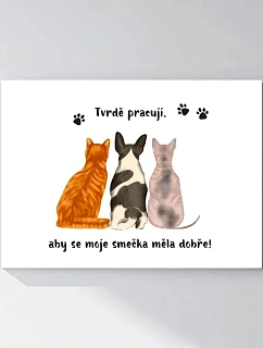 Personalizovaný magický fotoobraz v rámu - 50x70 - ilustrace mazlíčků
