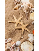 Plážová osuška 100x180